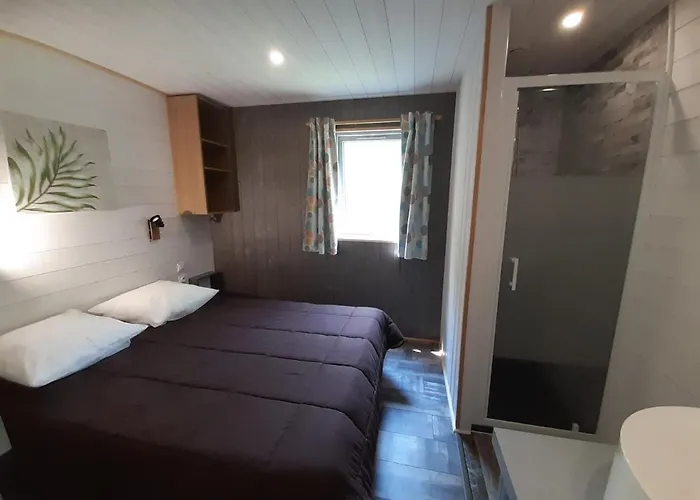 Campsite La Venise Verte Coulon